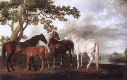 Mares and Foals in a River Landscape